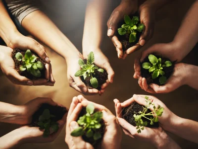 Long-Term Support – Keep the Glow